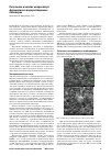 Научная статья на тему 'Получение и анализ микрокапсул фурацилина в водорастворимых полимерах'
