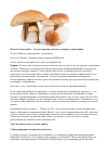 Научная статья на тему 'Польза белых грибов – 5 веских причин добавить суперфуд в свой рацион'