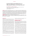 Научная статья на тему 'Posttranslational modifications of ribosomal proteins in Escherichia coli'