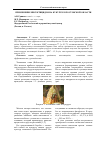 Научная статья на тему 'Применение инсектицидов на кукурузе в Ростовской области'