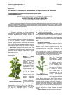 Научная статья на тему 'Применение лекарственных растений, содержащих биологические активные вещества различной химической структуры'