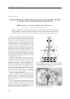 Научная статья на тему 'Применение метода электронно-оптического муара для визуализации и анализа полей различной физической природы'