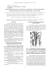 Научная статья на тему 'Применение плодовых оболочек риса в качестве углерод-кремнеземных пористых материалов для каталитических систем (обзор)'