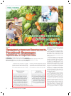 Научная статья на тему 'Продовольственная безопасность Российской Федерации: проблемы и перспективы'