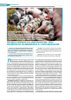 Научная статья на тему 'Продуктивность свиноматок при линейном разведении и скрещивании'