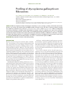 Научная статья на тему 'Profiling of Mycoplasma gallisepticum ribosomes'