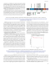 Научная статья на тему 'Промежуточные результаты протокола cns-2015 у больных первичной диффузной В-крупноклеточной лимфомой ЦНС (ПДВККЛ ЦНС)'