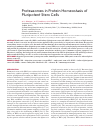 Научная статья на тему 'Proteasomes in protein homeostasis of pluripotent stem cells'