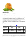 Научная статья на тему 'Pumpkin (lat. Cucurbita)'