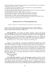 Научная статья на тему 'Purification process of total jiegumuglycosides'