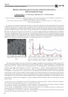 Научная статья на тему 'Raman scattering spectra in zinc oxide microstructures placed in photon traps '