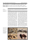 Научная статья на тему 'RAPTORS MORTALITY IN NORTHWEST RAJASTHAN, INDIA (2017–2022)'