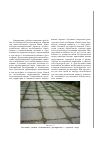 Научная статья на тему 'Расчетные показатели площади заселения искусственных тротуарных покрытий при проведении урбоэкологических исследований'