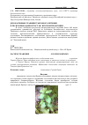 Научная статья на тему 'Распространение Scutellaria albida L. в Горном Крыму'