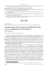 Научная статья на тему 'Размножение белой трясогузки Motacilla alba в гнезде рябинника Turdus pilaris'