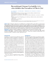 Научная статья на тему 'Recombinant human cyclophilin a in vitro inhibits the formation of fibrin clot'