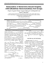 Научная статья на тему 'Redescription of Steinernema thesami Gorgadze, 1988 (Rhabditida: Steinernematidae) from Georgia'