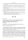 Научная статья на тему 'Регистрация малого баклана Phalacrocorax pygmaeus в Харьковской области'