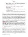Научная статья на тему 'REGULATION OF PGC-1α ISOFORM EXPRESSION IN SKELETAL MUSCLES'