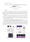 Научная статья на тему 'RESEARCH ON SYNERGISTIC IMMUNOTHERAPY TRIGGERED BY PHOTOTHERAPY'