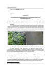 Научная статья на тему 'Род Coenogonium (Coenogoniaceae, lichenized Ascomycota) во флоре Беларуси'
