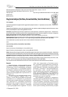 Научная статья на тему 'Род Sororistirps (Porifera, Hexactinellida, Ventriculitidae)'