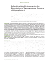 Научная статья на тему 'Role of the lipid environment in the dimerization of transmembrane domains of glycophorin a'
