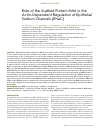 Научная статья на тему 'Role of the scaffold protein mim in the actin-dependent regulation of epithelial sodium channels (ENaC)'