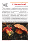Научная статья на тему 'Рубиновый гриб'