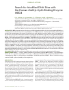 Научная статья на тему 'Search for modified DNA sites with the human methyl-CpG-binding enzyme MBD4'