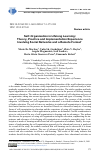 Научная статья на тему 'SELF-ORGANISATION IN LIFELONG LEARNING: THEORY, PRACTICE AND IMPLEMENTATION EXPERIENCE INVOLVING SOCIAL NETWORKS AND A REMOTE FORMAT'