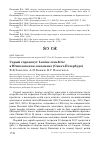 Научная статья на тему 'Серый сорокопут laniusexcubitor в Юнтоловском заказнике (Санкт-Петербург)'