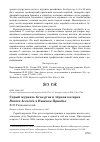 Научная статья на тему 'Серый журавль grus grus и чёрная казарка Branta bernicla в Нижнем Приобье'