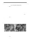 Научная статья на тему 'SHOCK COMPACTION AND SINTERING OF Ni POWDERS: INFLUENCE OF Y2O3–СоО CONTAINING OXIDE FILMS'