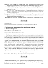 Научная статья на тему 'Сибирская чечевица Carpodacus roseus в Новосибирске'