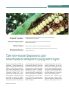Научная статья на тему 'Синтетические феромоны для мониторинга западного кукурузного жука'
