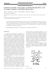 Научная статья на тему 'Синтез и исследование сополимеров метилфеофорбида a и его CuII комплексов с метилметакрилатом'