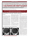 Научная статья на тему 'Случай веретеноклеточной астроцитомы у белоносой мартышки'