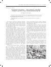 Научная статья на тему 'Сморчковая шапочка - Verpa bohemica (Krombh. ) Schroet. (Ascomycota) в Мурманской области'