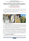 Научная статья на тему 'SORGHUM (SORGHUM L) FOOD, NUTRITION, TECHNICAL SIGNIFICANCE, CULTIVATION STATUS AND PROSPECTS'