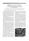 Научная статья на тему 'Состав минерального вяжущего для укрепления дорожных грунтов'