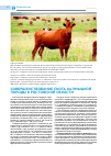 Научная статья на тему 'Совершенствование скота калмыцкой породы в Ростовской области'