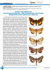 Научная статья на тему 'Совки подсемейства Heliothinae boisduval, 1828 (lepidoptera, noctuidae) вредители сои в Амурской области'