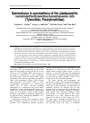 Научная статья на тему 'Spermatoza in spermatheca of the plant-parasitic nematode Paratylenchus hamatus sensu lato (Tylenchida, Paratylenchidae)'