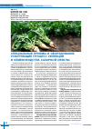 Научная статья на тему 'Специальные приемы и оборудование, ускоряющие процесс селекции и семеноводства сахарной свеклы'