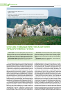 Научная статья на тему 'Способ повышения показателей продуктивности коз'