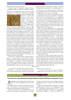 Научная статья на тему 'Способ восстановления продуктивности многолетних злаковых трав'