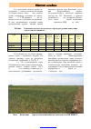 Научная статья на тему 'Сравнительная характеристика сортов озимой пшеницы, адапти- рованных к засушливым условиям сухостепной зонысветло-каштановых почв'