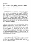Научная статья на тему 'State of the Stone Curlew Burhinus oedicnemus in Bulgaria'