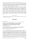 Научная статья на тему 'Статус хрустана Eudromias morinellus в Тарбагатае и Джунгарском Алатау'